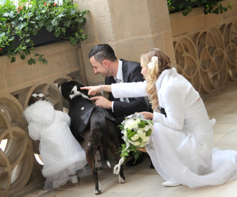 Galerie: Hochzeit